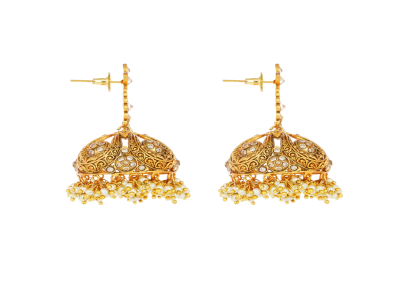 Earrings - WER169LCT