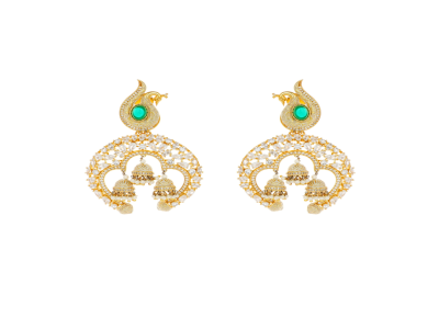 Earrings - WER457WG